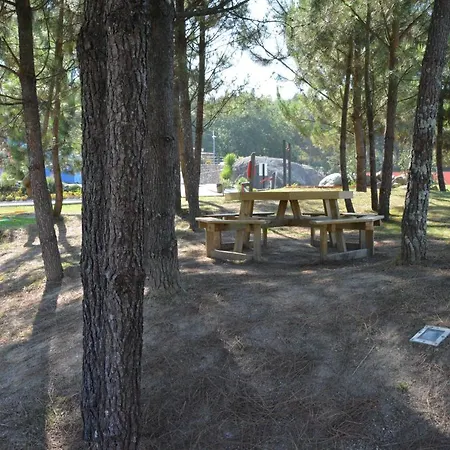 Mobility Friends Hostel *