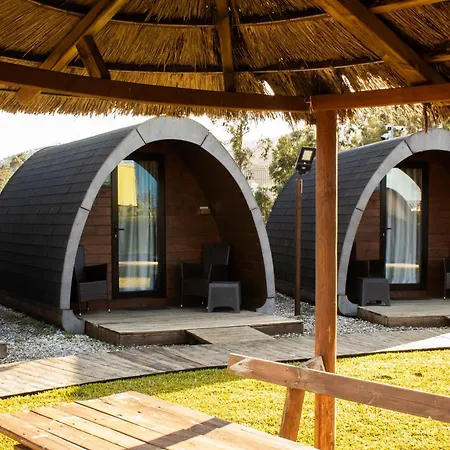 Mobility Friends * 바르셀로스