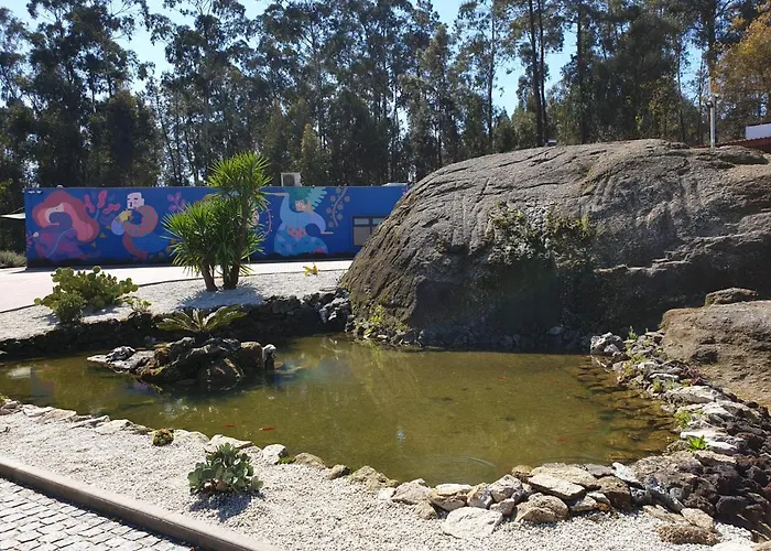 Mobility Friends 巴塞卢什